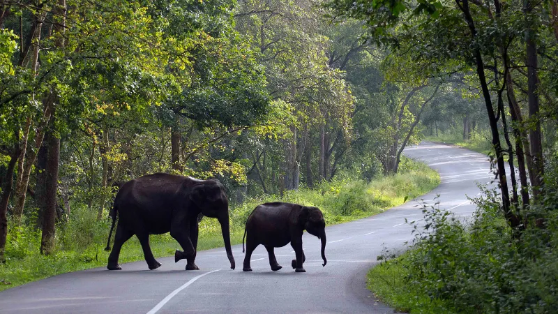 Wayanad Kerala